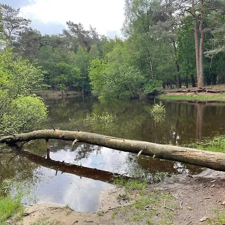 Boshuisje Koolmees Park Hoefbos Otterlo