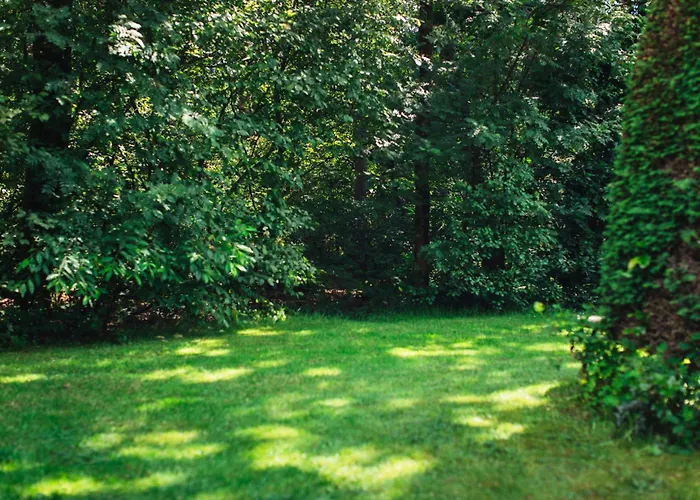 Boshuisje Koolmees Park Hoefbos
