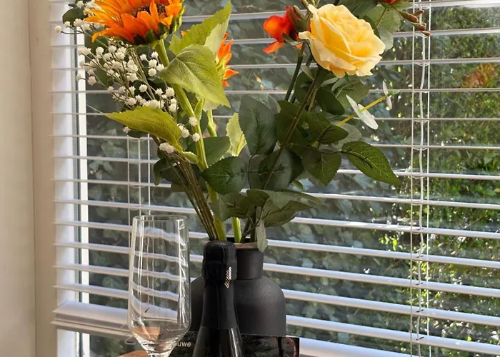 Semesterbostad Boshuisje Koolmees Park Hoefbos Otterlo