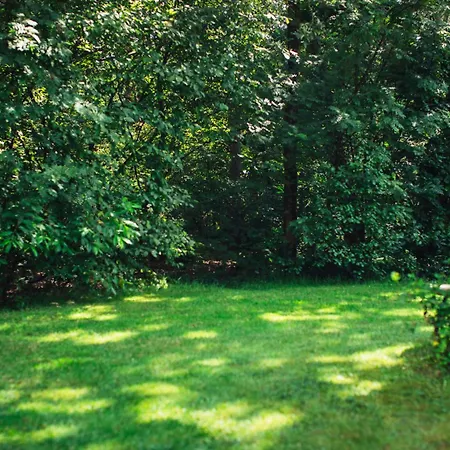 Boshuisje Koolmees Park Hoefbos