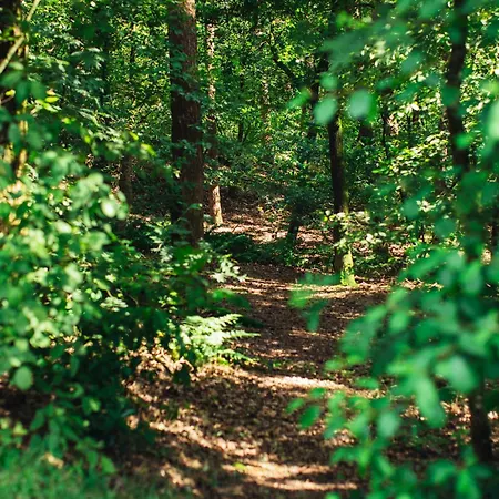 Boshuisje Koolmees Park Hoefbos * Otterlo
