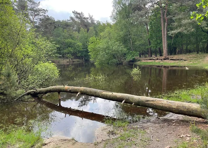 Boshuisje Koolmees Park Hoefbos Otterlo