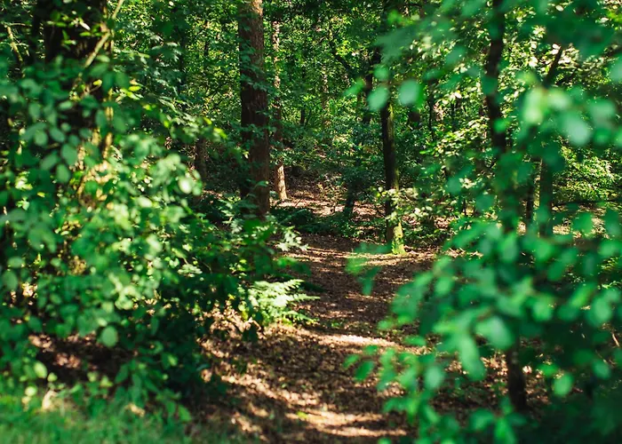 Boshuisje Koolmees Park Hoefbos * Otterlo